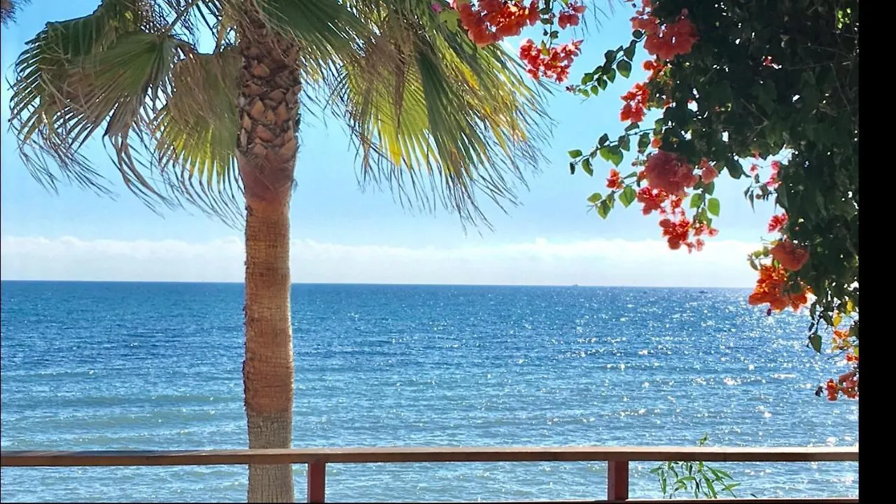 Mi Capricho Beachfront- 3-7 Apartment With Sea Views Sitio de Calahonda España